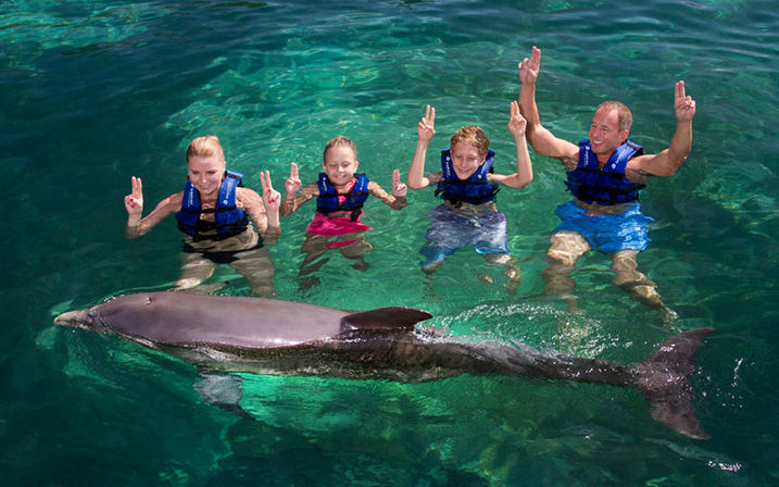 Swim with dolphins in Cancun and The Riviera Maya image 6