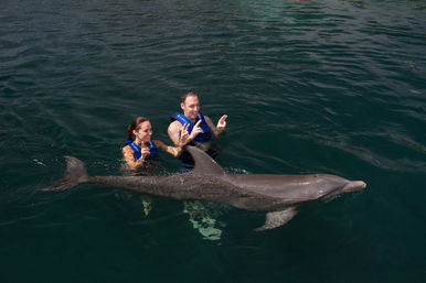 Swim With Dolphins in Cancún: Multiple Locations, All Ages image 7
