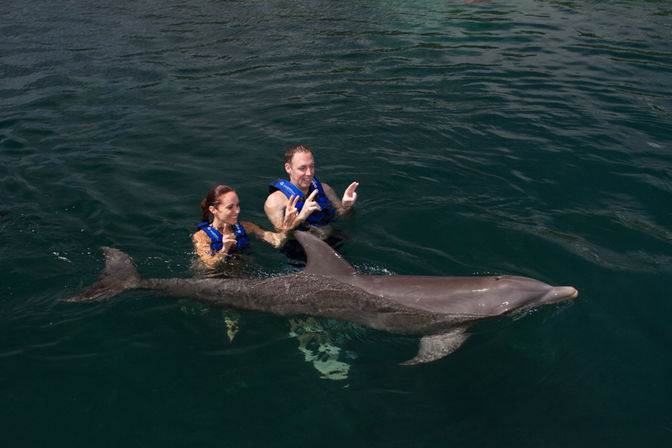 Swim with dolphins in Cancun and The Riviera Maya image 7