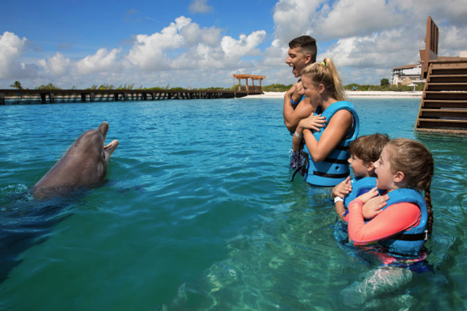 Swim with dolphins in Cancun and The Riviera Maya image 2