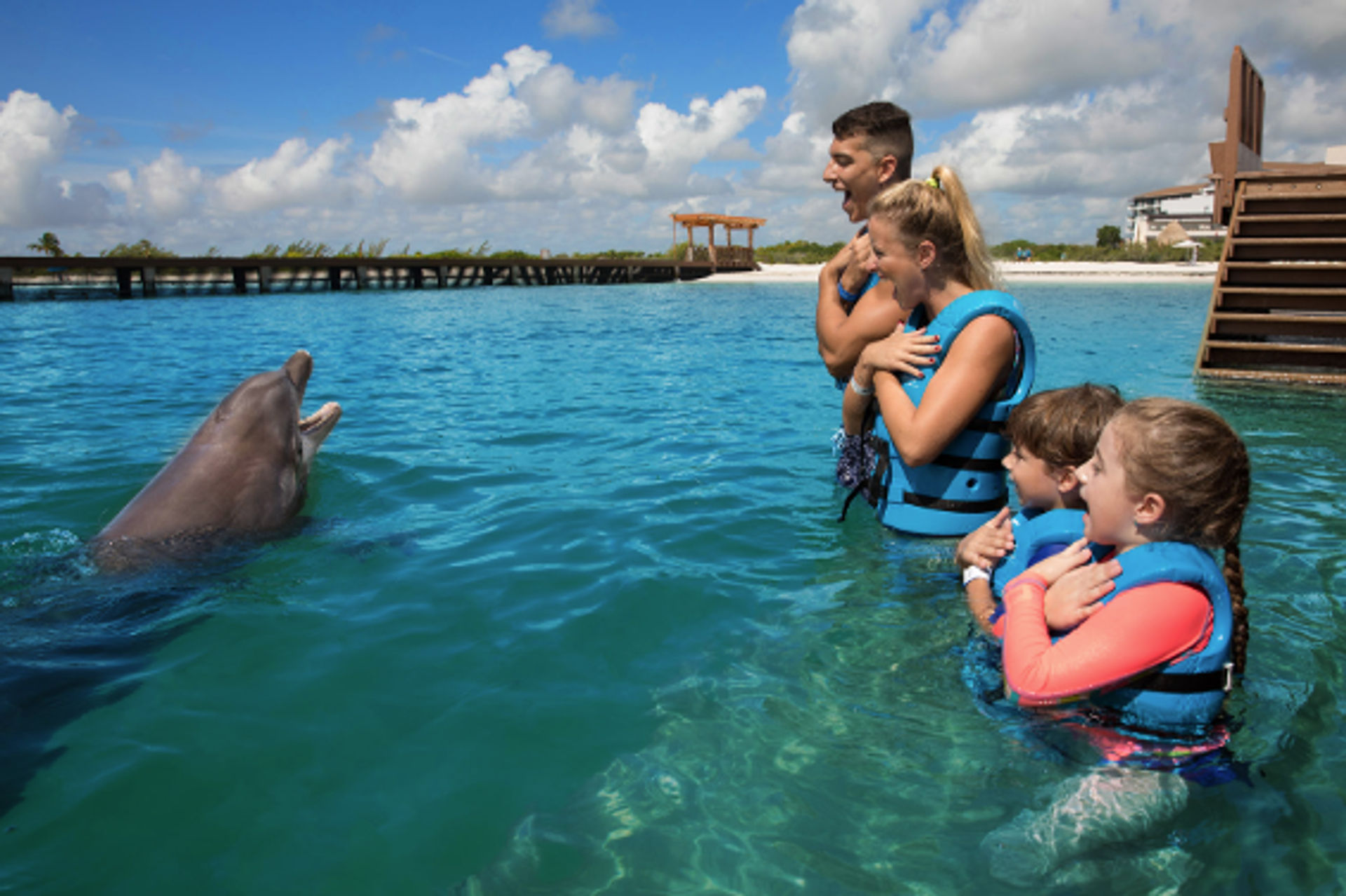 Swim with dolphins in Cancun and The Riviera Maya image 2