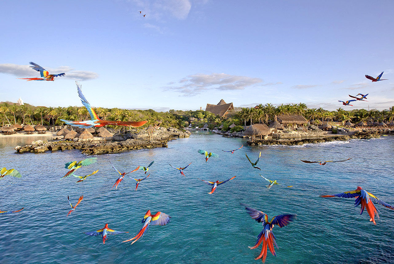 Vibrant macaws flying over a turquoise tropical lagoon with palm-fringed shoreline, rocky outcrops and thatched huts under a clear blue sky.