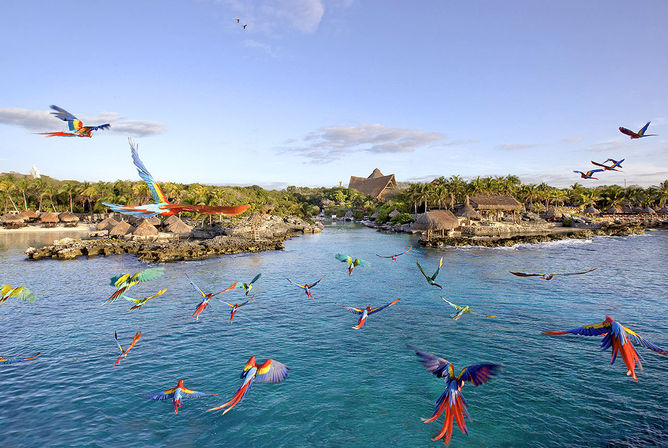 Vibrant macaws flying over a turquoise tropical lagoon with palm-fringed shoreline, rocky outcrops and thatched huts under a clear blue sky.