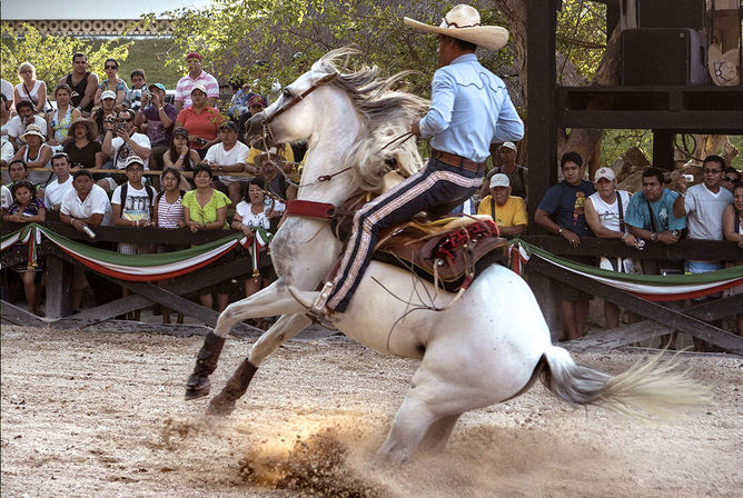 Cowboy in a straw hat riding a rearing white horse in a dusty Mexican rodeo arena with a packed crowd watching.