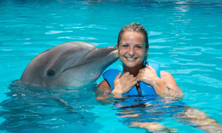 Swim with dolphins in Cancun and The Riviera Maya image 1