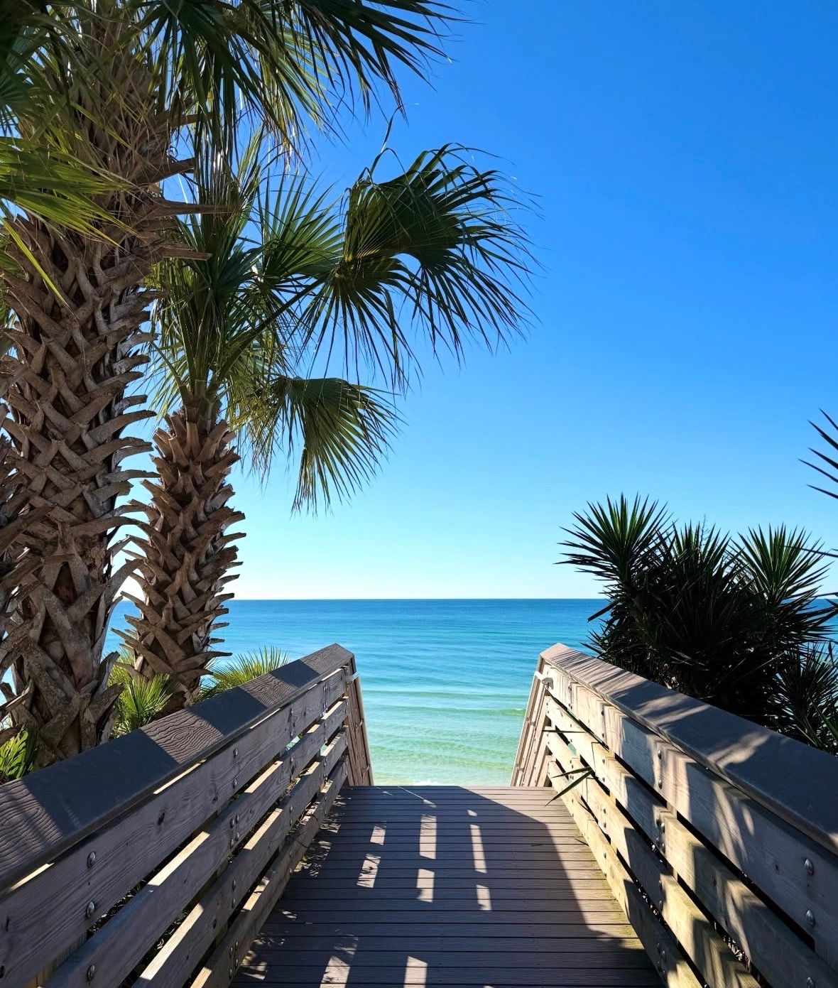 Girls Trip Beach House: Rooftop Patio, Walk to Beach, Pool, Shops + Bars image 2