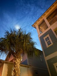 Dusk view of a lit palm tree in front of coastal shingle houses with a balcony under a moonlit blue sky — beach town scene