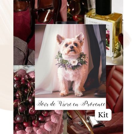 Small terrier wearing a pastel floral wreath posed between a wedding veil and suit in a Provence-style collage with cherries, cherry perfume bottle, burgundy leather shoes and car interior, labeled "Kit"