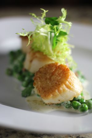 Golden seared scallops on a bed of creamed peas topped with frisée, plated as an elegant gourmet seafood dish on a white plate.