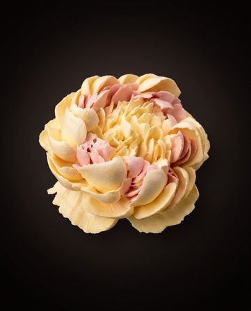 Close-up of a buttercream peony-style frosting in pale yellow and blush pink on a dark background — detailed cake decoration