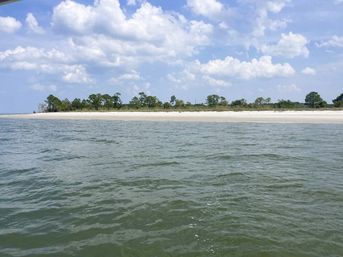 View from the water of a tree-lined sandy shoreline and small barrier island, calm green sea beneath a blue sky with puffy white clouds.
