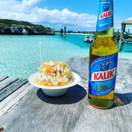 Full Day Tour through the Exumas image 18