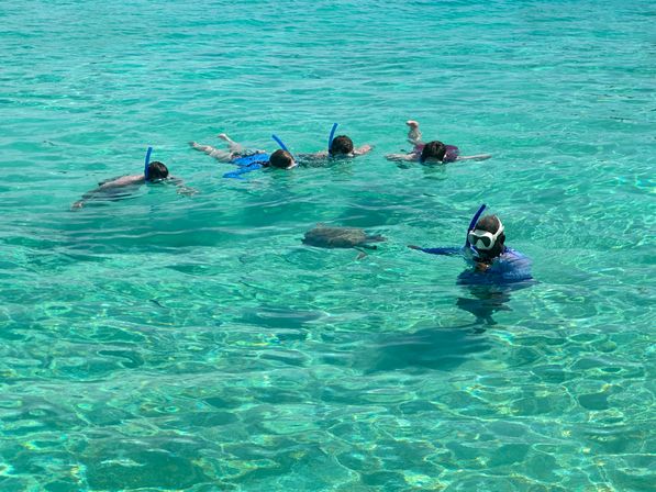 Full Day Tour through the Exumas image 12