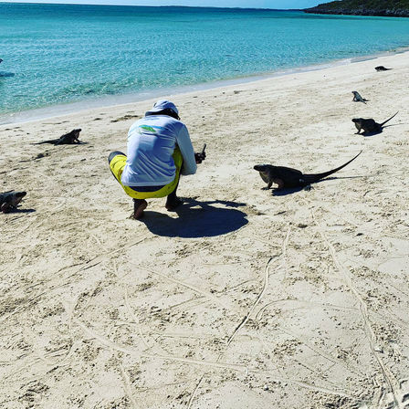 Full Day Tour through the Exumas image 4