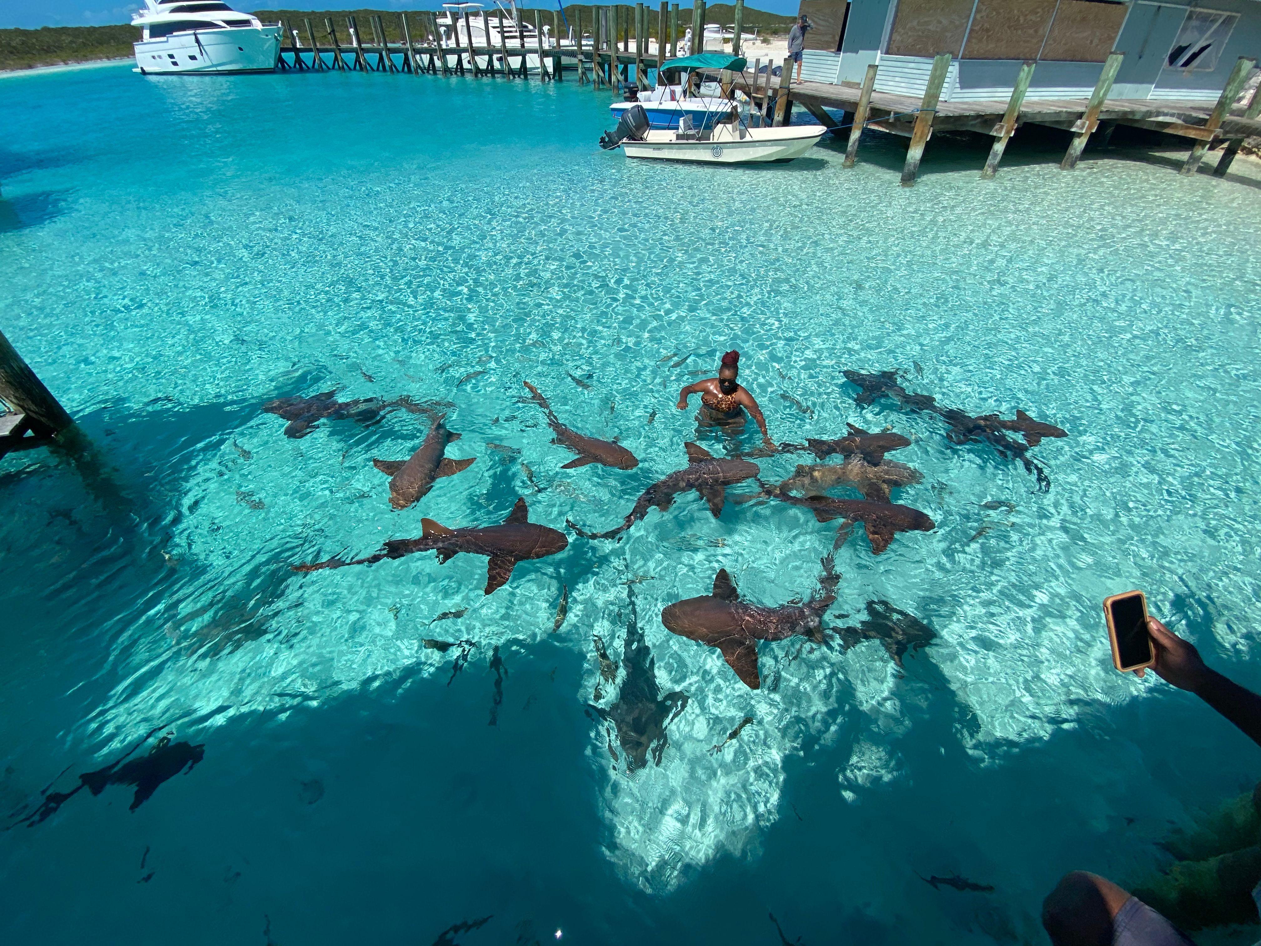 Full Day Tour through the Exumas image 1