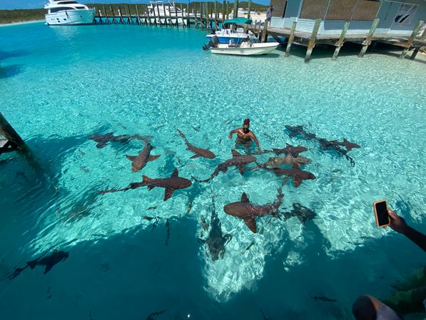 Full Day Tour through the Exumas image 1