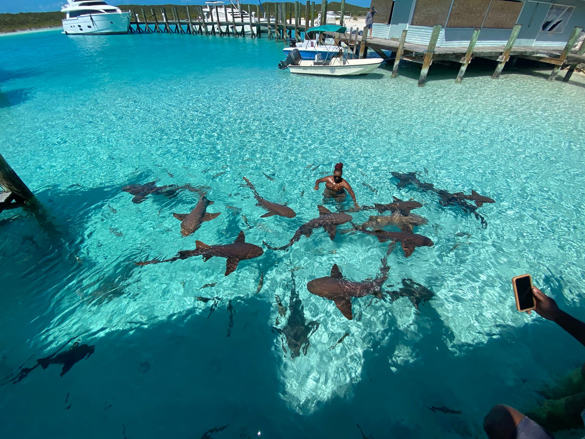 Full Day Tour through the Exumas image 1