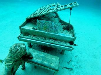 Full Day Tour through the Exumas image 7