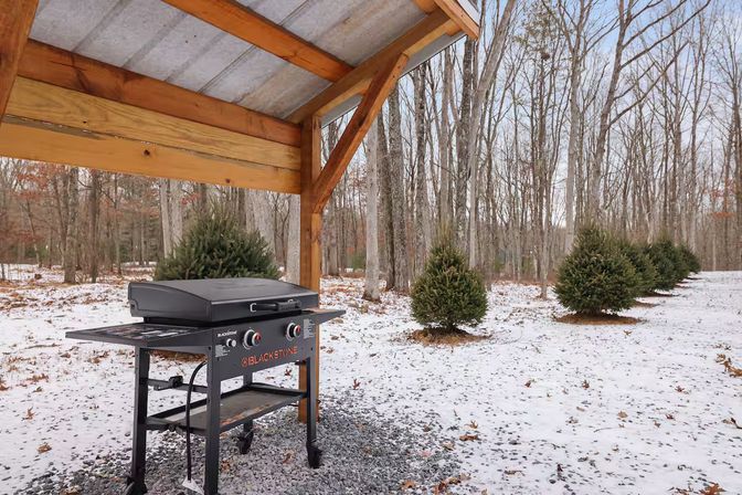 Outdoor propane griddle beneath a wooden shelter in a snowy forest clearing, with a row of small evergreen trees and bare winter woods in the background.