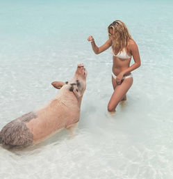 Private Adventure with Chartered Flight to Staniel Cay, Boat Tour to Pig Beach, Lunch, Champagne & More image 23