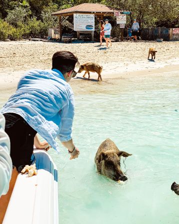 Private Adventure with Chartered Flight to Staniel Cay, Boat Tour to Pig Beach, Lunch, Champagne & More image 18