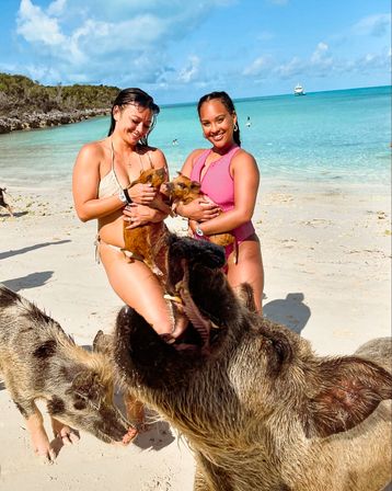 Two women in swimsuits on a sunny tropical white-sand beach holding piglets as curious adult pigs crowd in by clear turquoise water with a boat on the horizon.