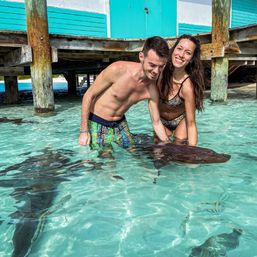 Smiling people in swimsuits wading in shallow turquoise water under a wooden pier, gently touching a stingray with tropical fish swimming nearby — beach marine encounter.