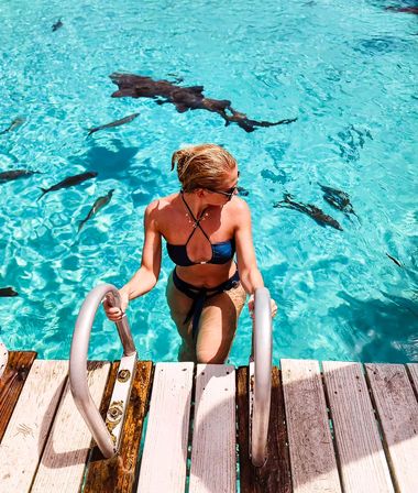 Sunlit tropical scene of a woman in a navy bikini climbing a metal ladder onto a weathered wooden dock from crystal-clear turquoise water with fish swimming below
