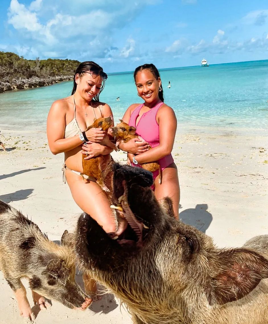 Two smiling women in swimsuits holding piglets on a sandy tropical beach with turquoise water and blue sky as larger pigs approach and a boat sits on the horizon.