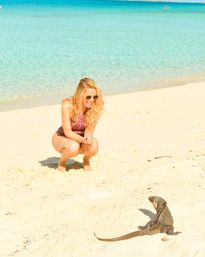 Private Adventure with Chartered Flight to Staniel Cay, Boat Tour to Pig Beach, Lunch, Champagne & More image 19