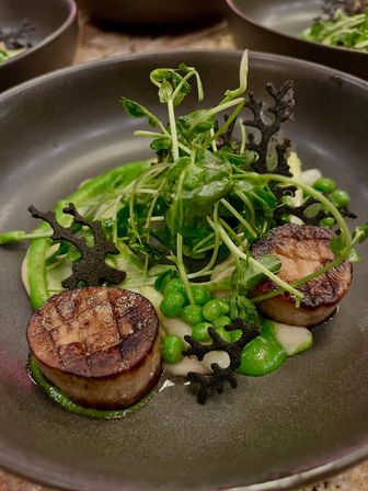 Two seared scallops on a matte black bowl with bright pea purée, fresh peas, pea-shoot microgreens and decorative black tuile crisps — elegant fine-dining plating