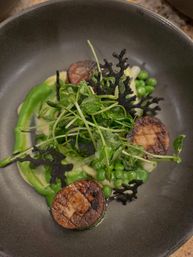 Close-up of a gourmet vegetable plate in a dark bowl: charred brown medallions, bright green peas and snap peas, smooth green pea purée, fresh pea shoots and delicate black coral-like crisps — vibrant, modern plating.