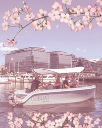 Private Electric Boat Rental with BYOB image 5