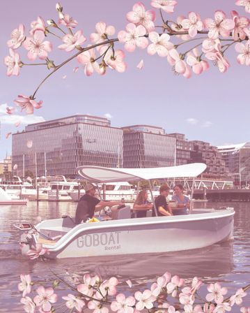 Private Electric Boat Rental with BYOB image 5