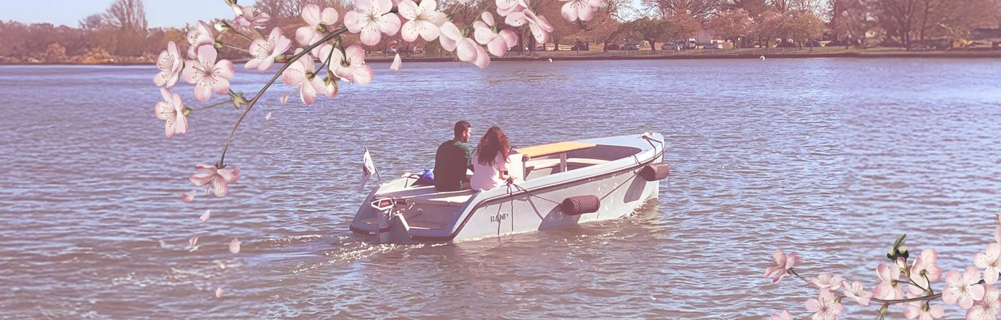 Private Electric Boat Rental with BYOB image 11