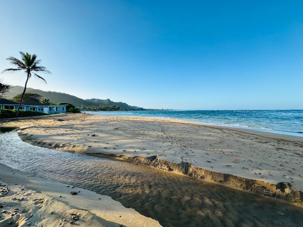 Sunlit tropical beach with a lone palm, sandy spit and a small tidal stream flowing into a clear blue ocean with forested hills on the horizon.