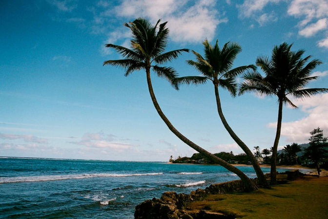 North Shore Group Getaway: Five 3-BR Units for Up to 50 Guests image 94