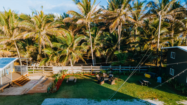 Sunlit tropical coastal yard with tall coconut palms, green lawn, picnic table and lounge chairs around a fire pit, string lights overhead, and a deck with solar panels.