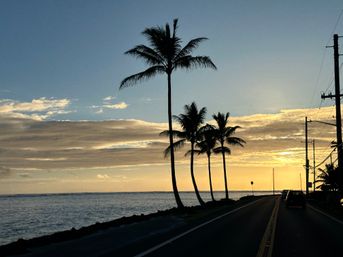 Golden sunset over a tropical coastal highway with silhouetted palm trees by the ocean, cars and utility poles along the road
