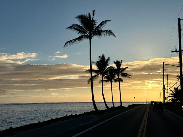 Tropical sunset silhouette of tall palm trees along a coastal road beside the ocean, cars driving toward a golden horizon with utility poles and calm water