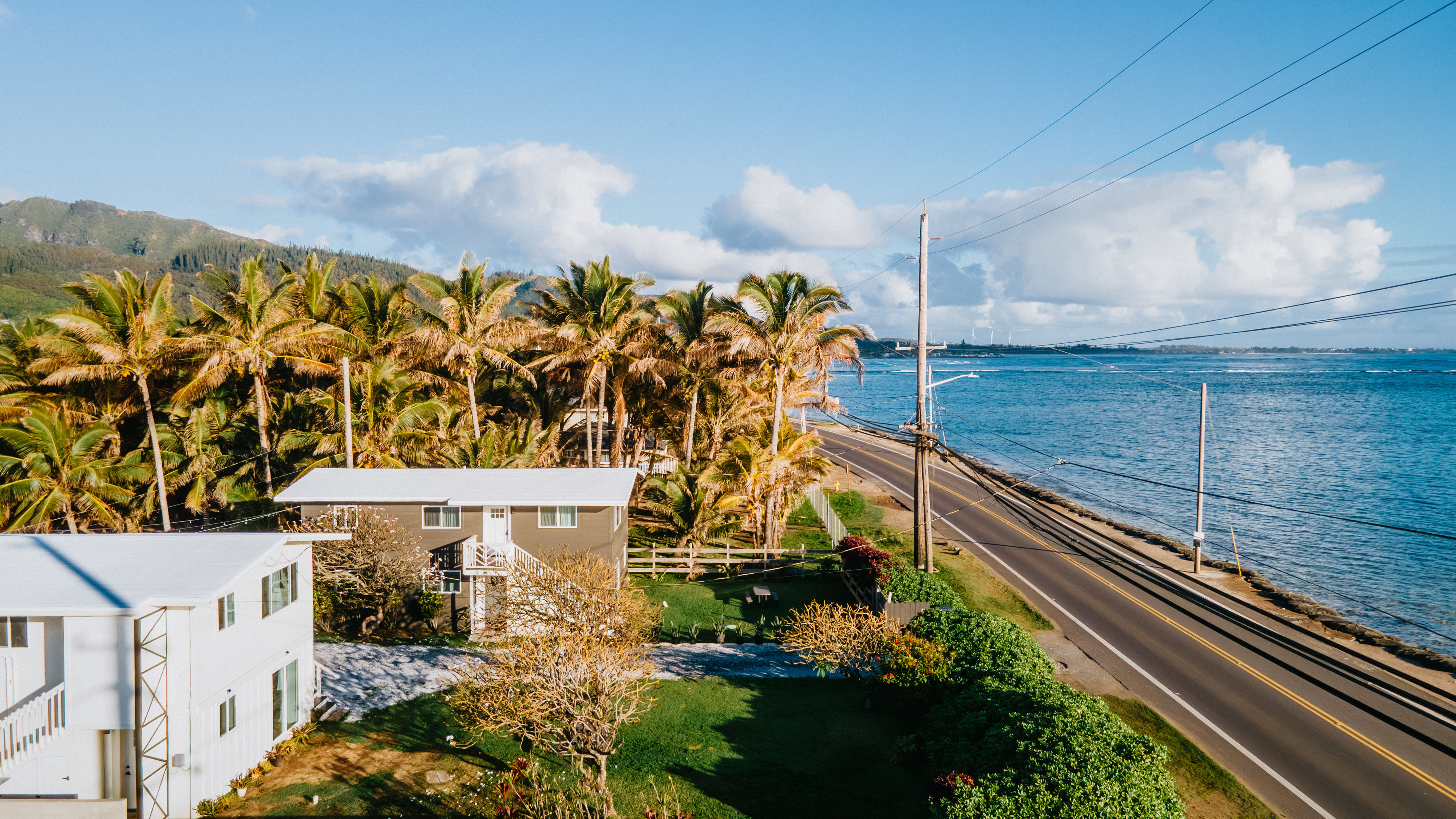 Aerial view of a sunny, palm-lined two-lane coastal highway running beside blue ocean, with beachfront houses, green lawns and distant mountains under fluffy clouds.