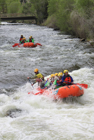 Whitewater rafting group in orange rafts navigating churning rapids on a tree-lined mountain river under a wooden bridge