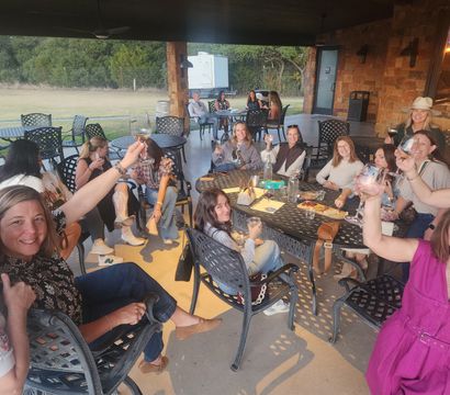 Group of friends toasting with wine glasses on a rustic covered patio at a countryside wine-tasting area, metal tables and grassy lawn beyond.