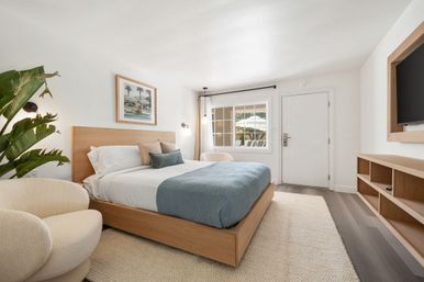 Bright coastal-style bedroom with wooden platform bed, blue throw, plush cream chairs, large potted plant, wall-mounted TV and window looking out to a sunlit patio.