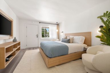 Bright, minimalist bedroom with light-wood platform bed dressed in white linens and a blue throw, plush cream lounge chair, wall-mounted TV, large sunny window with sheer curtains, and a potted tropical plant.