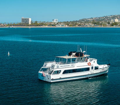 White sightseeing yacht gliding on calm teal waters of San Diego Bay with a palm-lined shoreline and low-rise city skyline under a clear blue sky.
