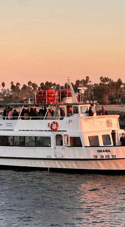 Sunset sightseeing boat with passengers gliding past a palm‑lined shoreline and rocky breakwater, warm orange sky reflecting on calm harbor water.