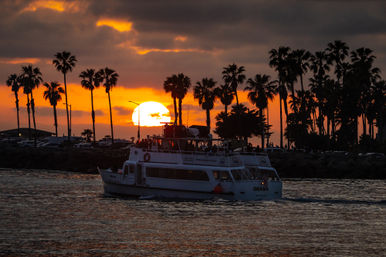 Silhouetted palm trees along a harbor at sunset as a sightseeing cruise boat glides across orange-reflected water