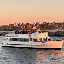 White two-deck passenger yacht with people on deck cruising along a palm-lined California coastline at golden sunset, harbor waters reflecting warm light.