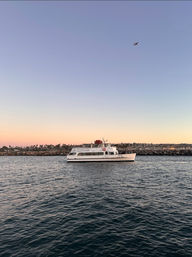 White passenger ferry cruising near a palm-lined rocky breakwater at sunset, rippling dark-blue water below and a small airplane in the pastel sky
